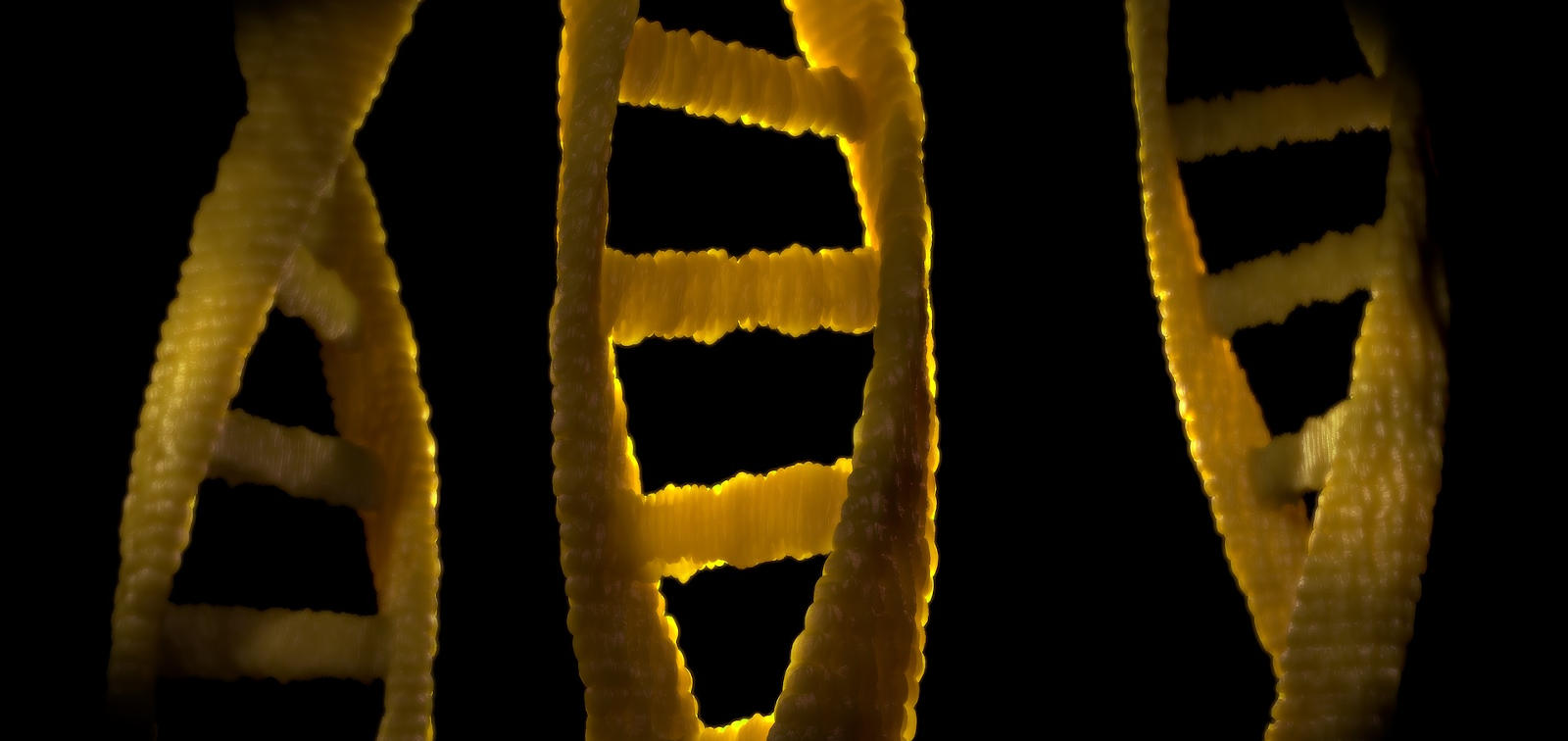DNA chain