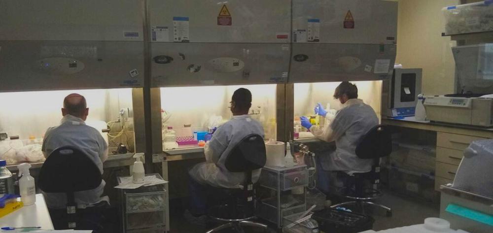 serocov1 - Cristina Castellana