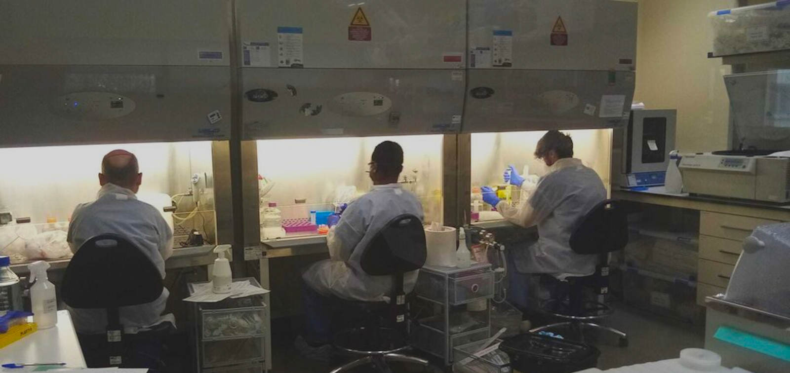 serocov1 - Cristina Castellana