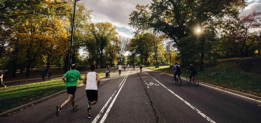 People doing exercise in the park