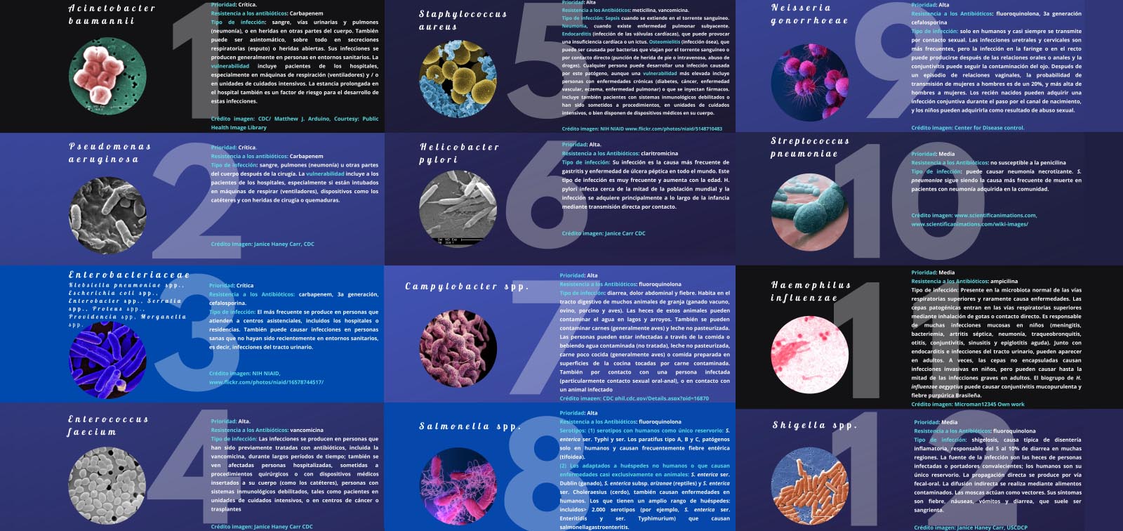 10 bacteris rellevants per la recerca en nous antibiotics