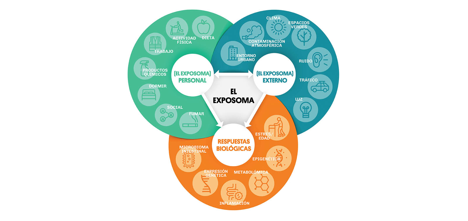 exposome cast 1600x756.jpg