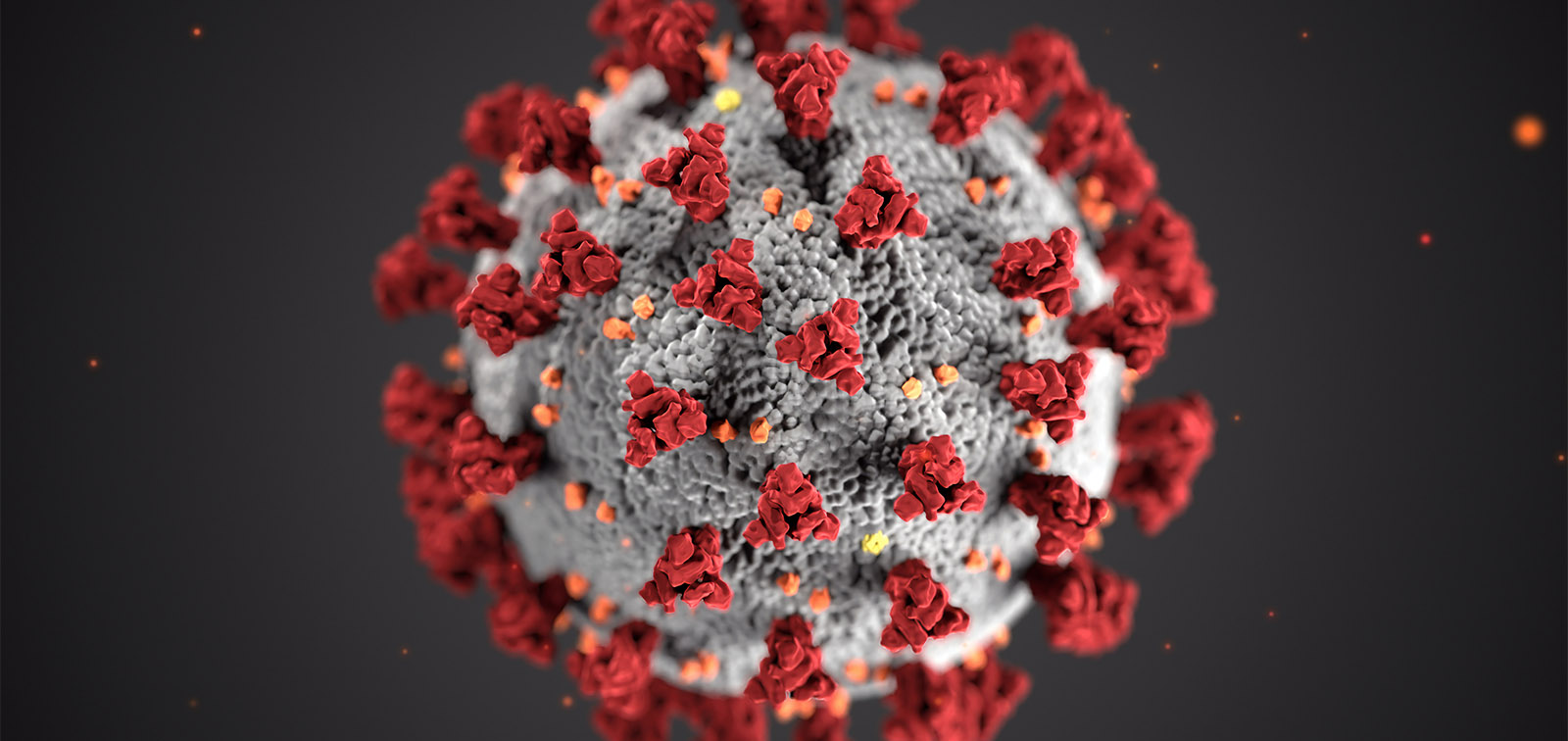 SARS-CoV-2 coronavirus