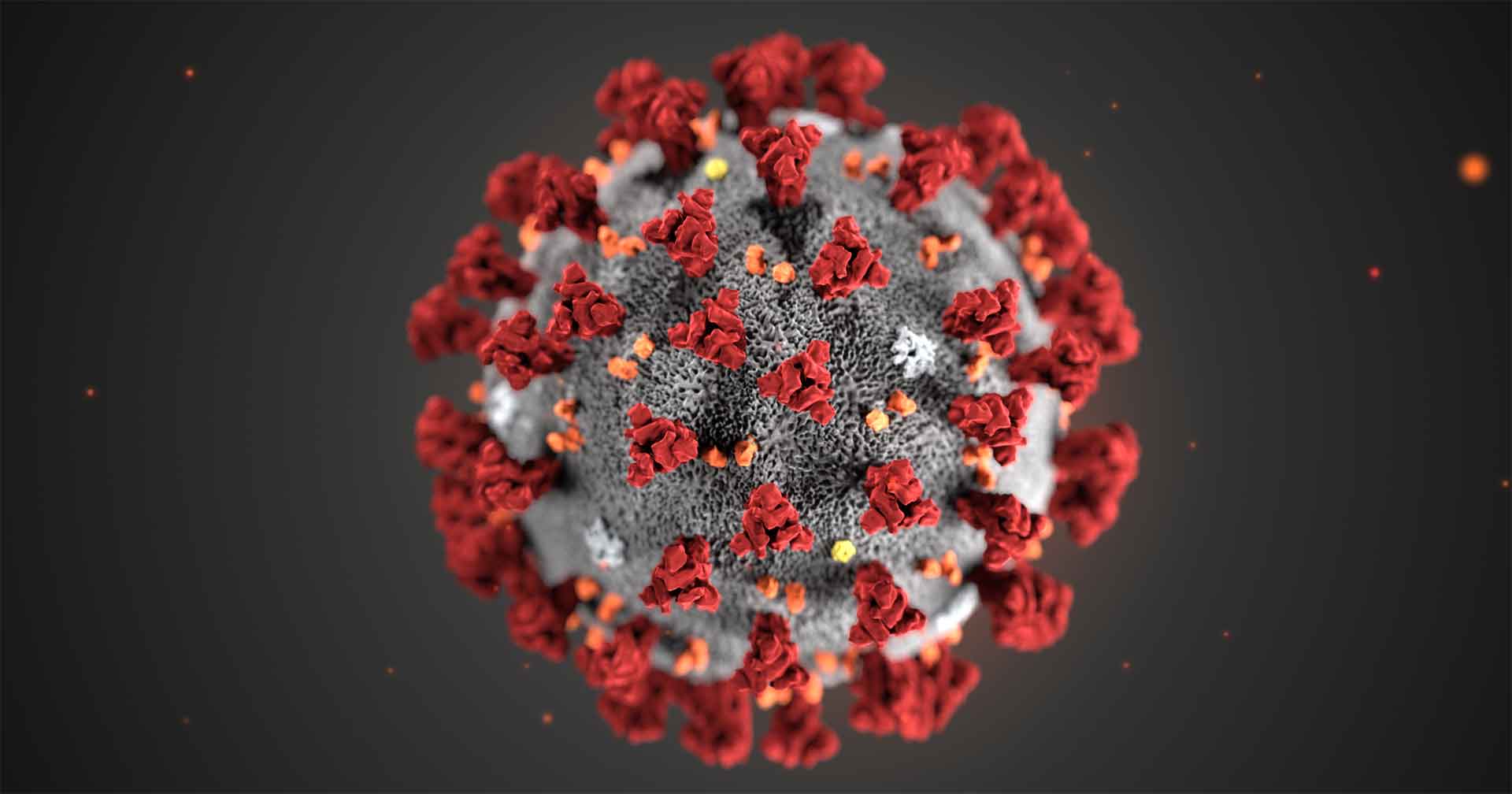 Coronavirus Isglobal