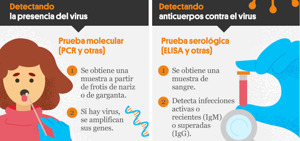 Portada infografia COVID19 diagnostico