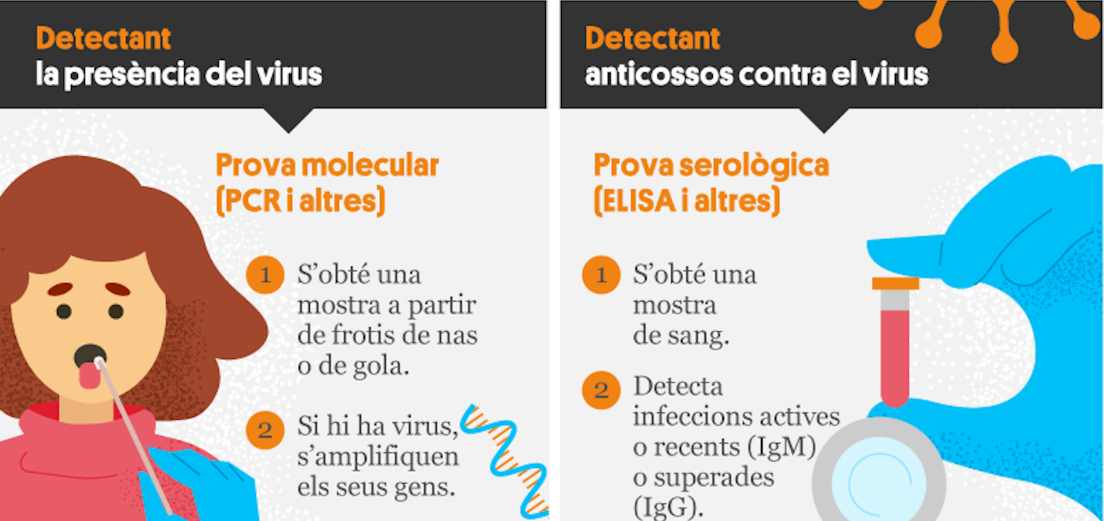 Portada infografia COVID diagnostic CAT