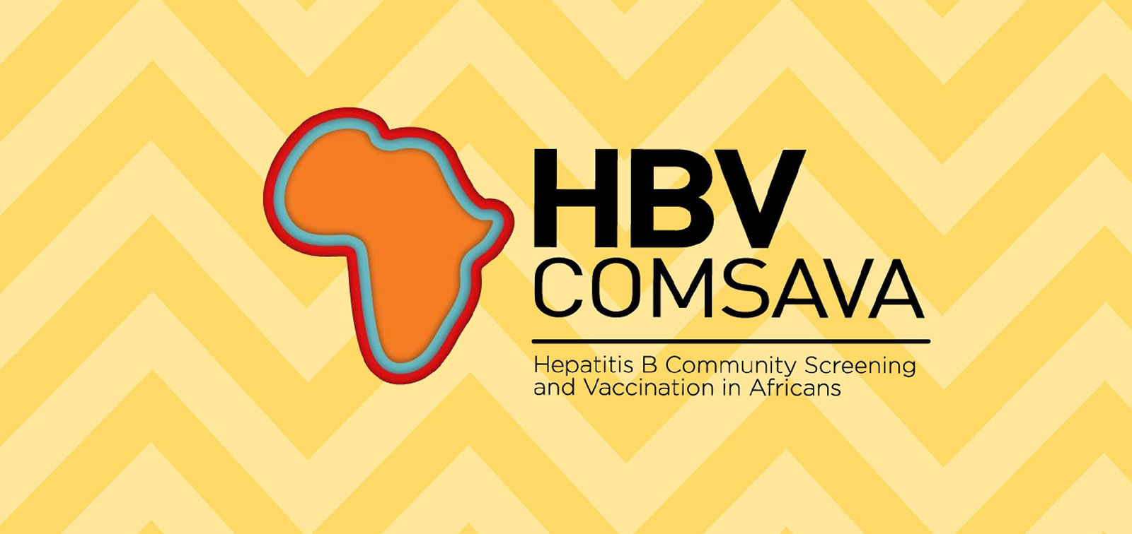 HBV-COMSAVA Project