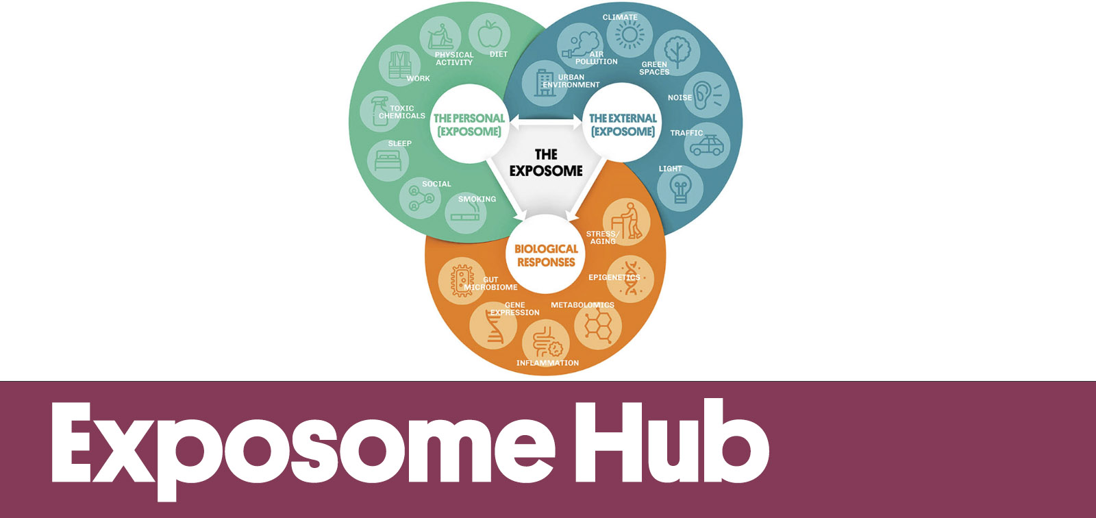 Exposome Hub website