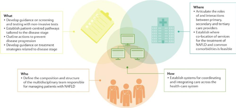 enfermedad hígado, cuidado