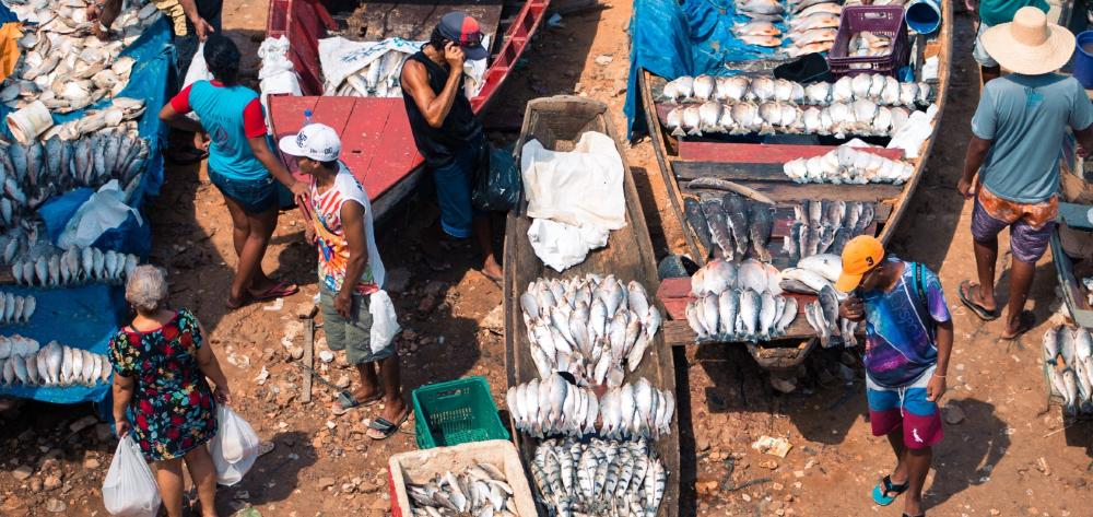 ISGlobal Manaus VIH Amazonia Brasil hongo histoplasma