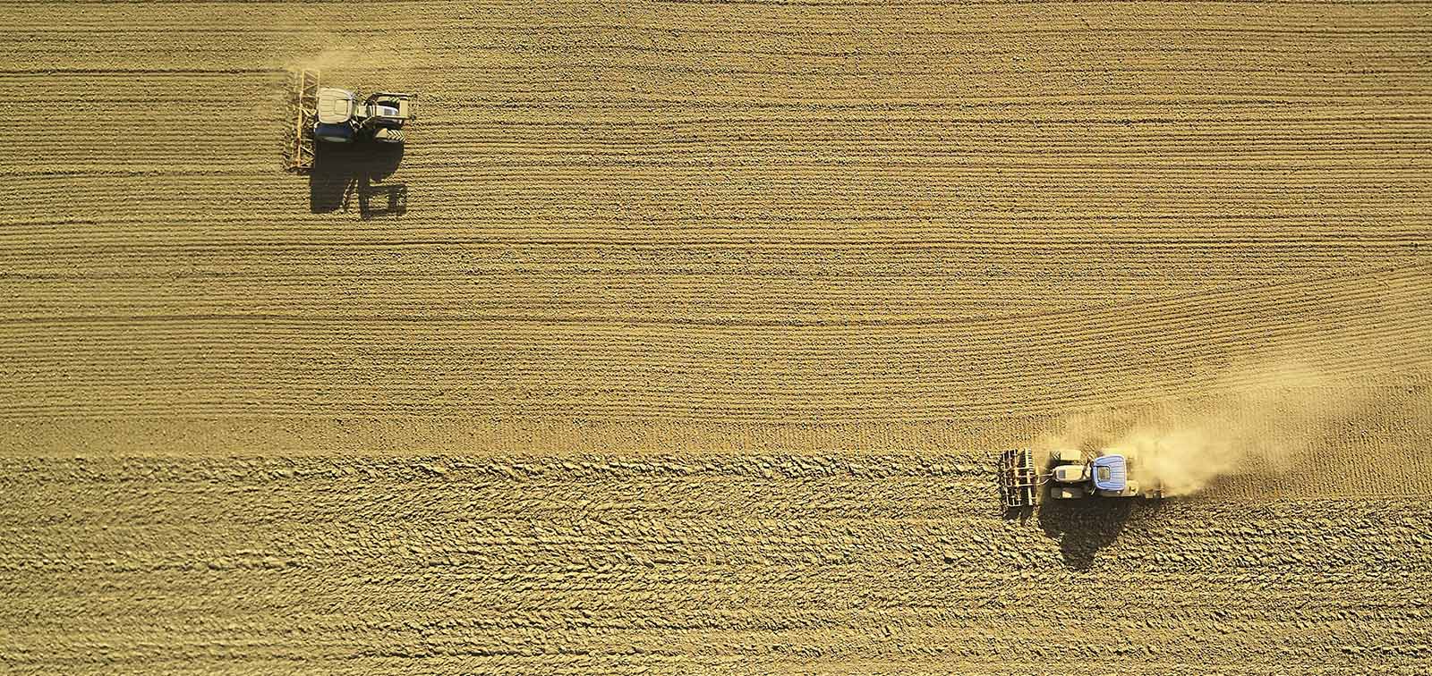 agricultura campo copia.jpg