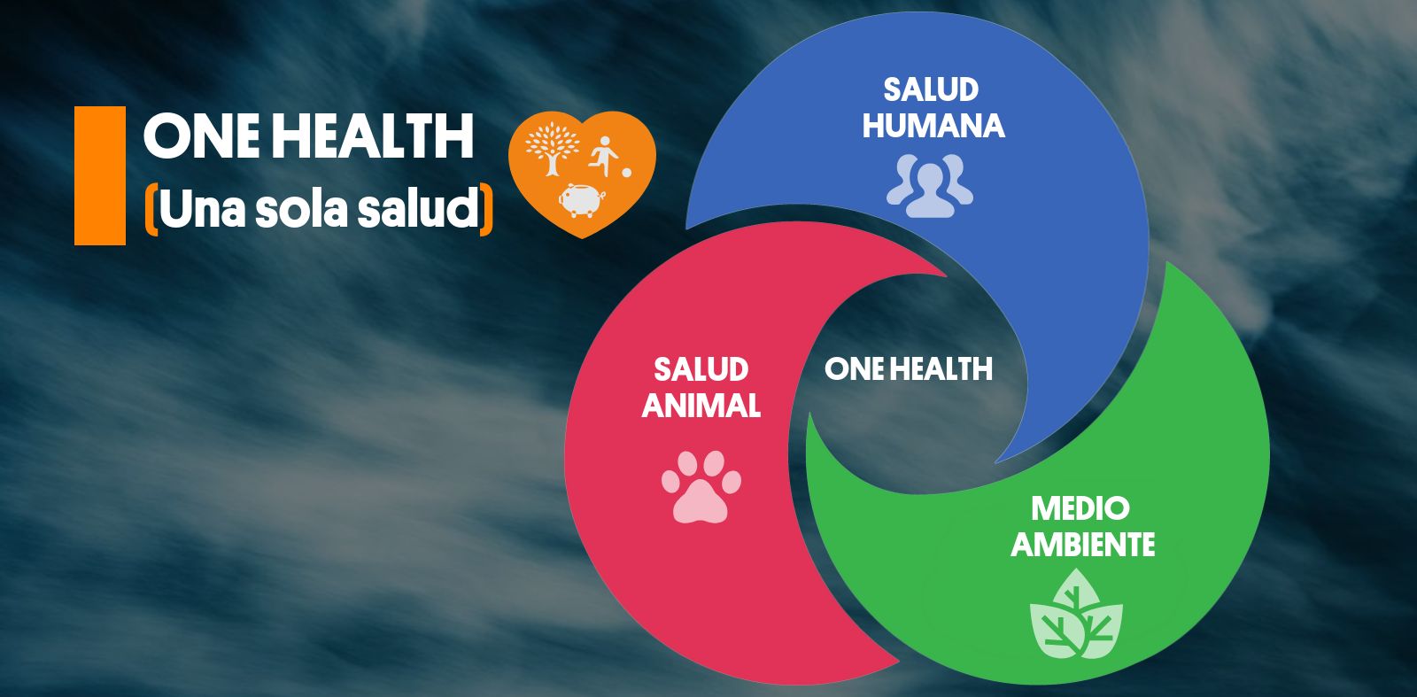 Harvard T.HChan School of Public Health - Powerful ideas for a healthier  world