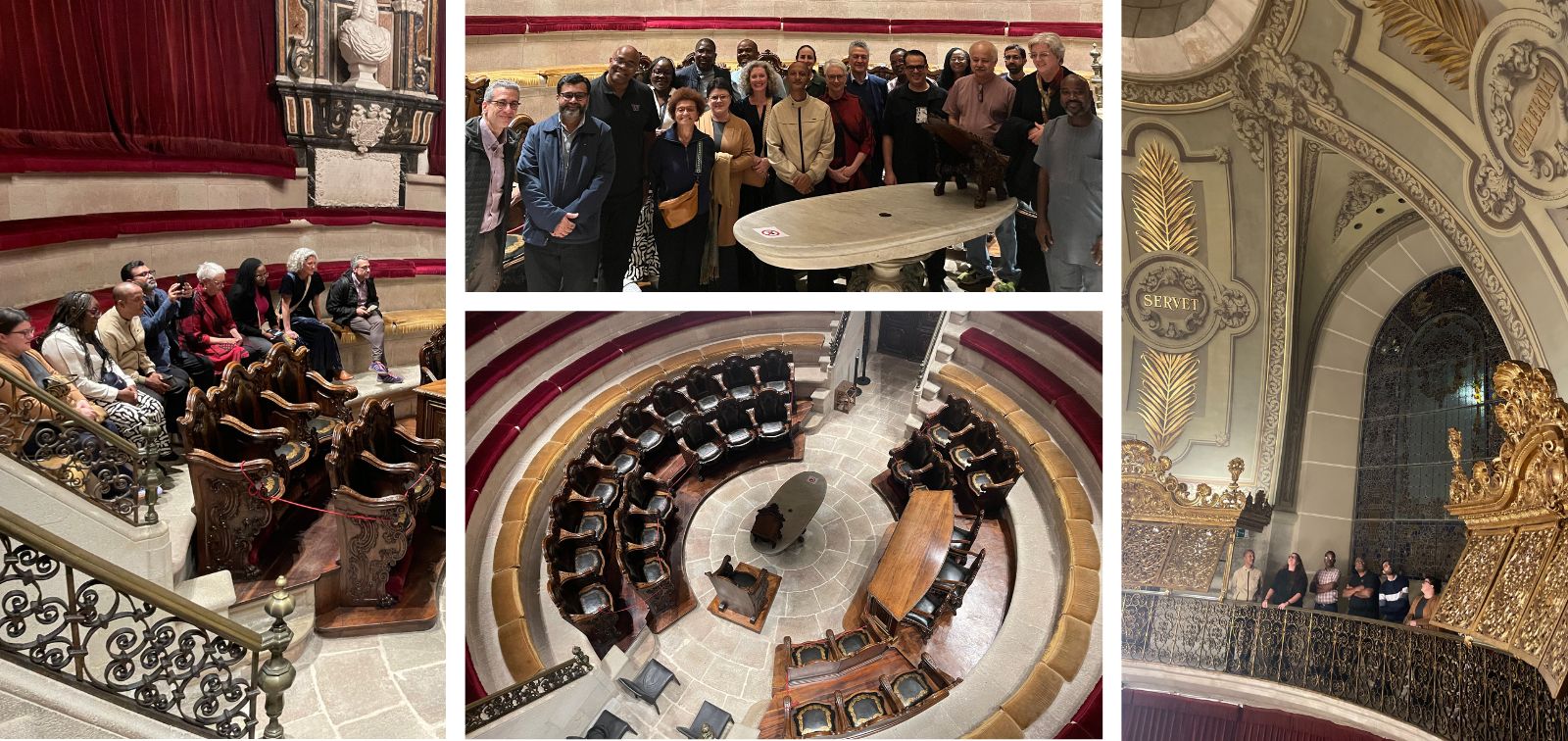 Directivos de la red CHAMPS visitan la Reial Acadèmia de Medicina de Catalunya