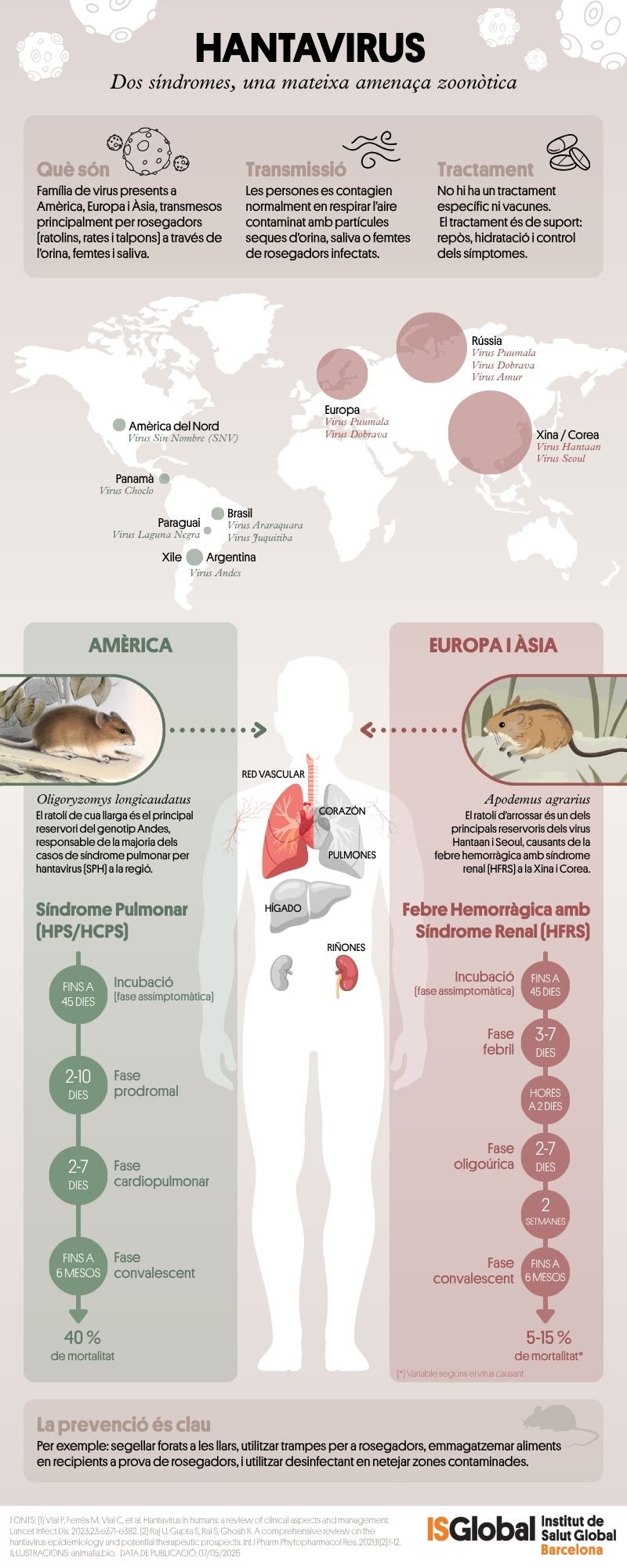 Infografia sobre la distribució dels hantavirus, la transmissió i les malalties causades