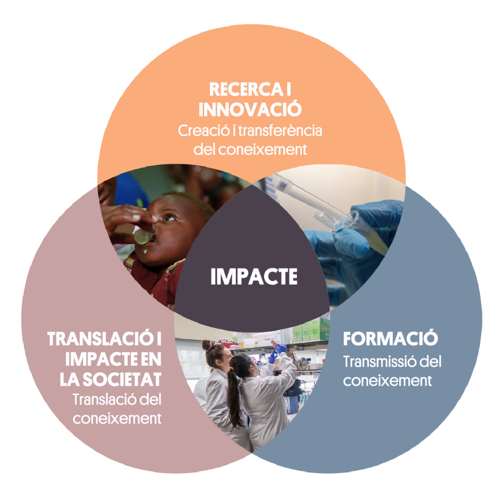 Infografía: Investigación, Traslación y Formación