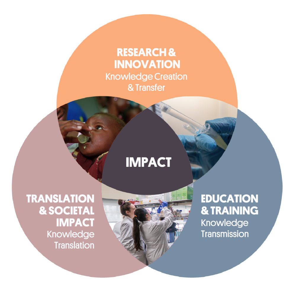 Infografía: Investigación, Traslación y Formación
