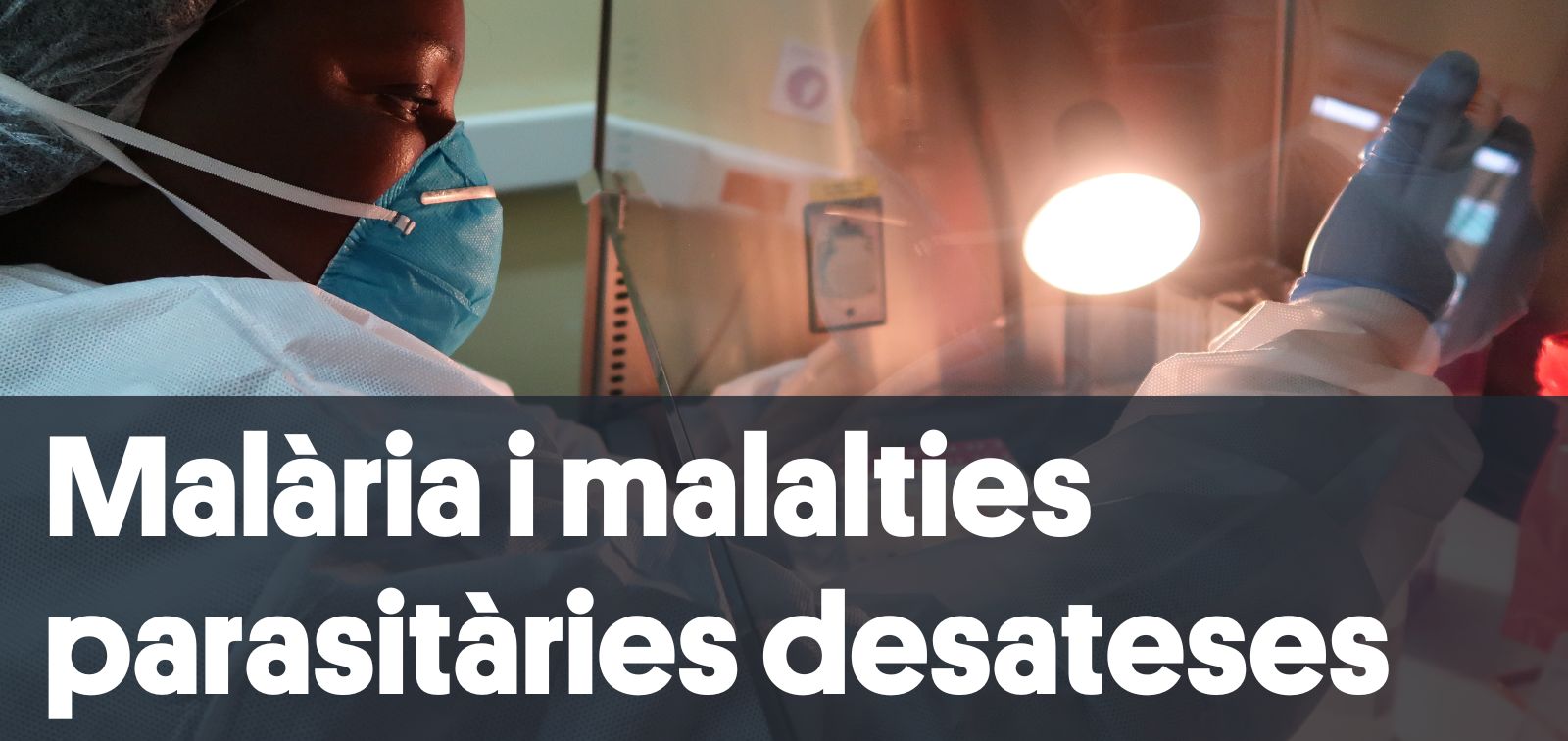 Malaria and Neglected Parasitic Diseases - CA.jpg