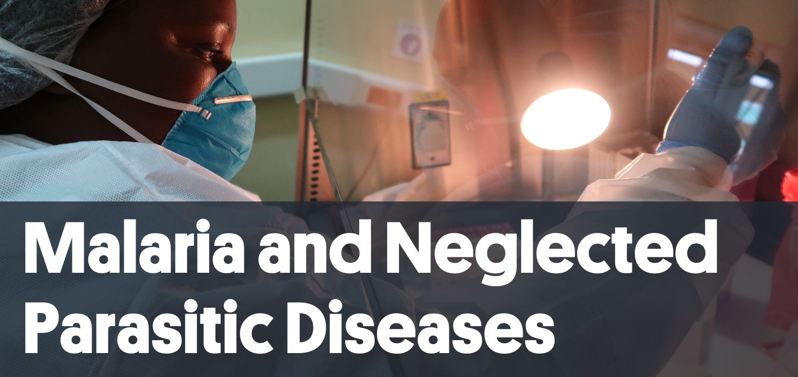 Malaria and Neglected Parasitic Diseases - EN.jpg