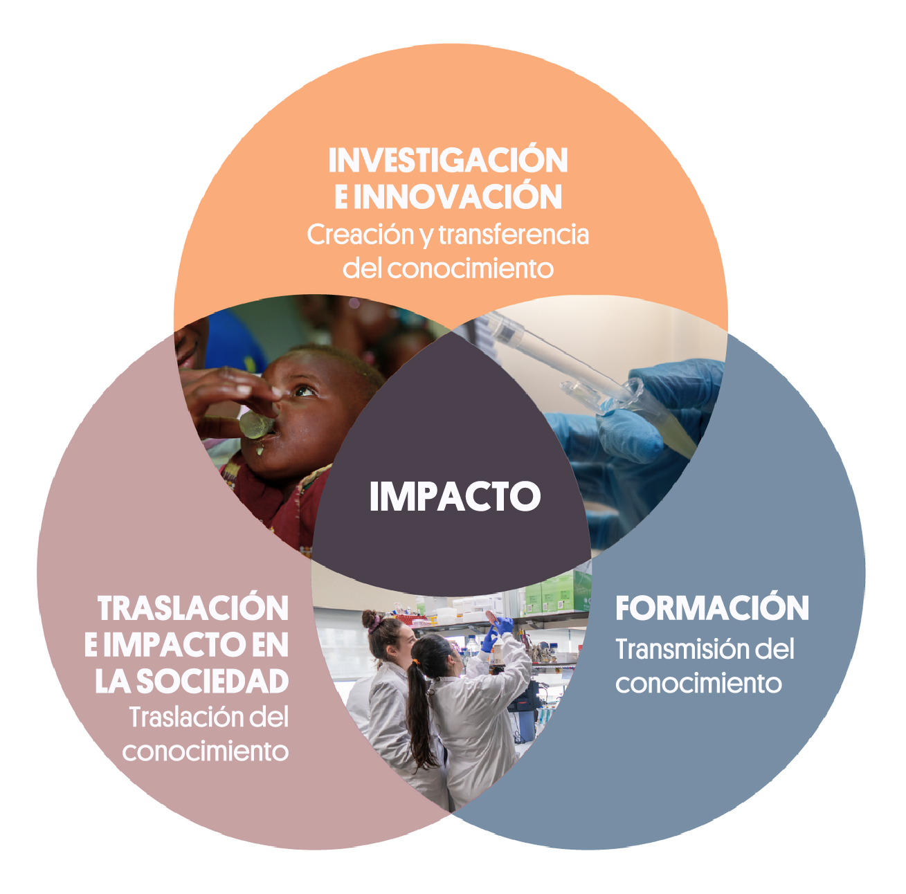 Infografía: Investigación, Traslación y Formación