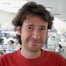 Luis Izquierdo